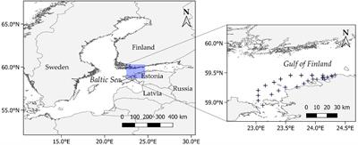 Impact of Thermohaline Conditions on Vertical Variability of Optical Properties in the Gulf of Finland (Baltic Sea): Implications for Water Quality Remote Sensing